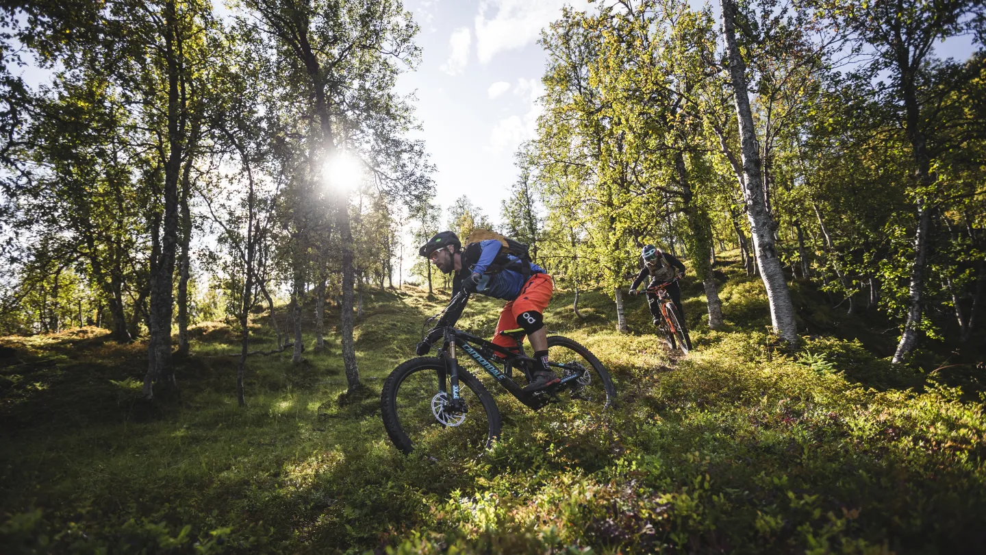 Mountain Biking in Lyngenfjord