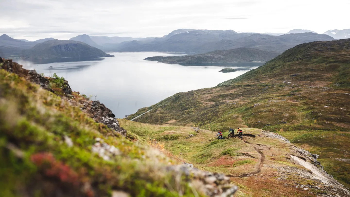 Stisykling i fjellet med høstfarger, fjord og fjell i bakgrunnen