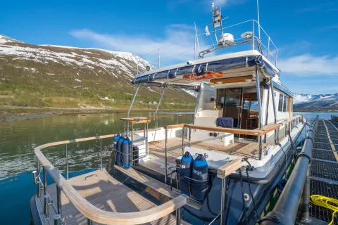 Privat båttransport fra Tromsø til Lyngen - Lyngen Experience