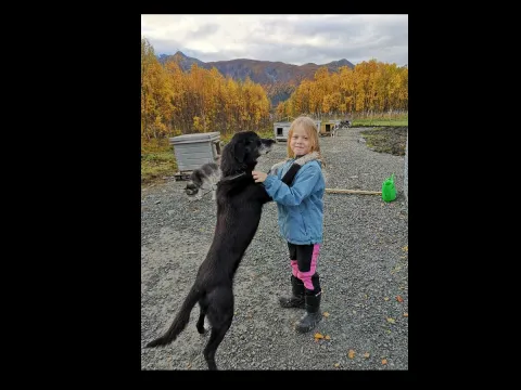 A girl enjoying the company of a dog at Lyngen Safari