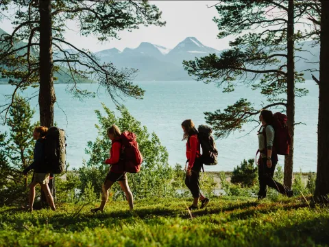 Husky vandring med Activenorth