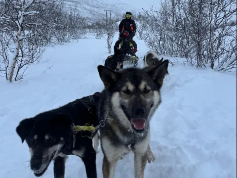 Kennel besøk hos Activenorth