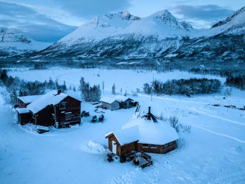 Reindeer Feeding and Sami Culture with Lunch