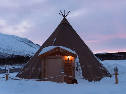 Reindeer Feeding and Sami Culture with Lunch