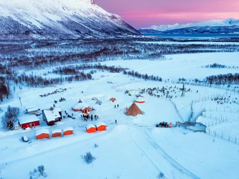 Reindeer Feeding and Sami Culture with Lunch