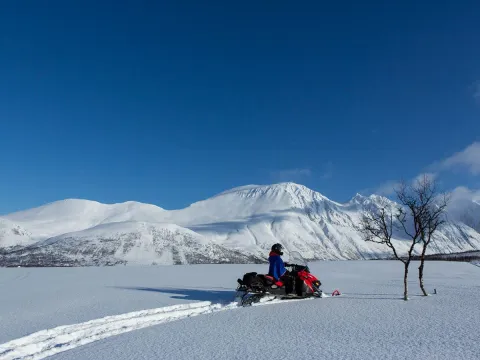 Snøskuteropplevelse - Lyngsalpene - Lyngen Experience