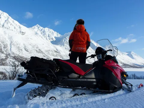 Snøskuteropplevelse - Lyngsalpene - Lyngen Experience