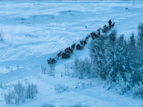 Reindeer Sledding and Sami Culture 1pm - Tromsø Lapland