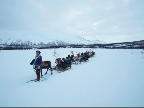 Reindeer Sledding and Sami Culture 1pm - Tromsø Lapland