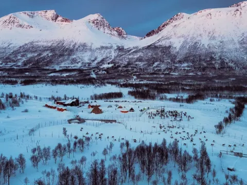 Reindeer Sledding and Sami Culture 1pm - Tromsø Lapland