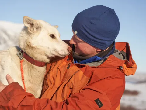 Besøk vår husky hundegård - Into the wild