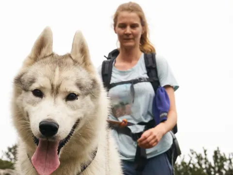 Husky hike - Into the wild