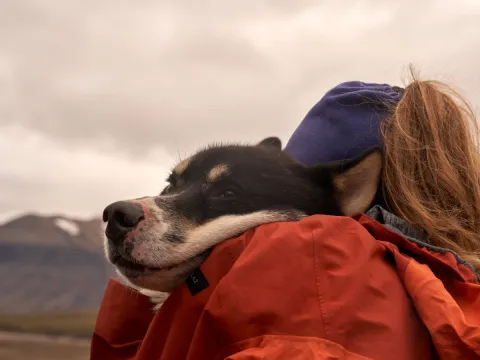 Husky hike - Into the wild