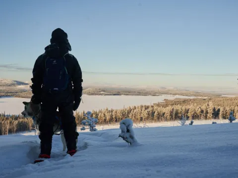 Into the wild