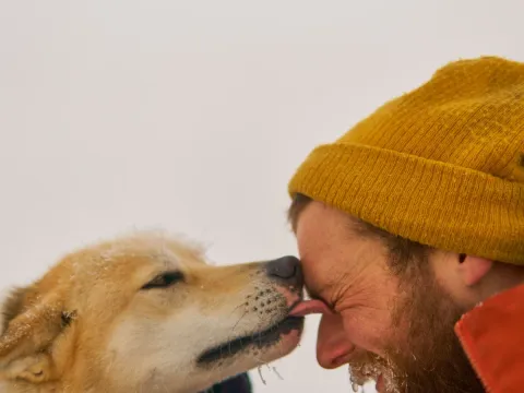 Hundekjøring på hjul - Into the wild