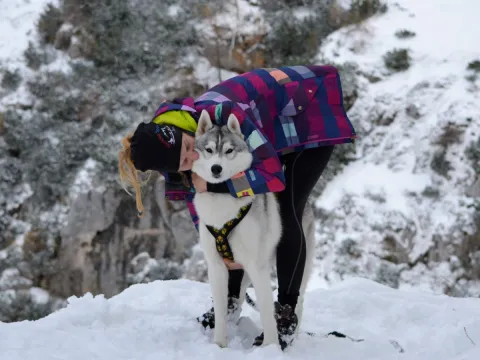 Into the wild