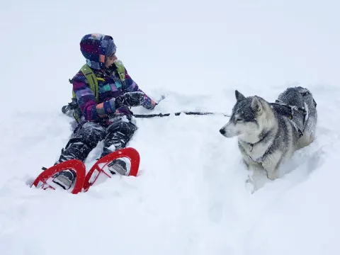Into the wild
