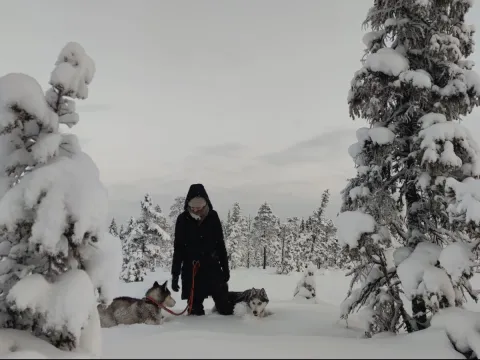 Into the wild