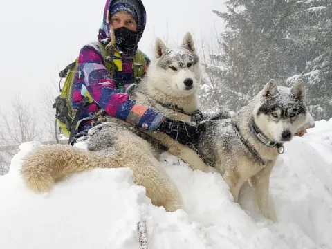 Into the wild