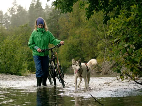 Biking with dogs - Into the wild 