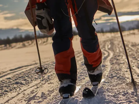 Skitur med en husky - Into the Wild