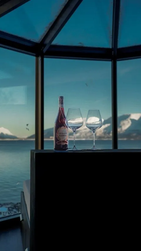 Lyngen Aurora Resort