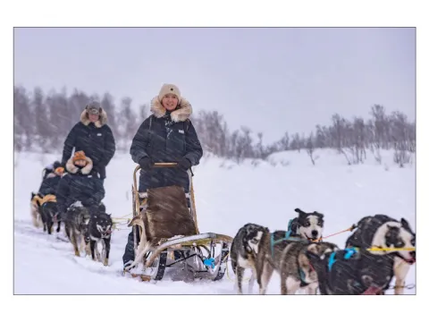 Lyngen Husky Safari