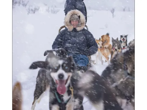 Lyngen Husky Safari