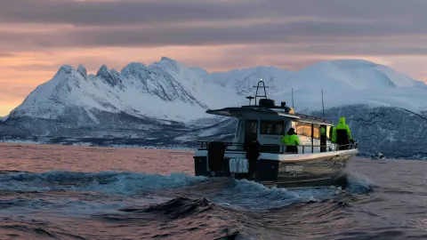 En båt på fjorden, snødektefjell i bakgrunnen. Solnedgangsfarger