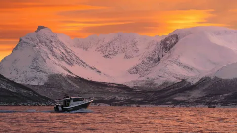 En båt på fjorden, snødektefjell i bakgrunnen. Solnedgangsfarger