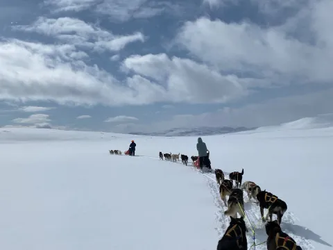  Avgang Manndalen: Hundekjøring i vakre Skibotndalen 