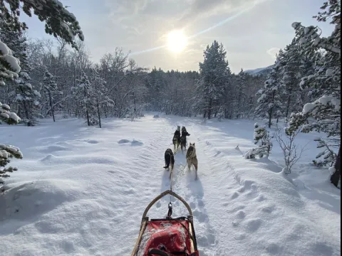  Avgang Manndalen: Hundekjøring i vakre Skibotndalen 