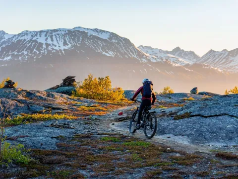 Fulldempet EL-sykkel til leie - Activenorth