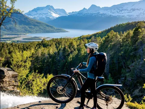 Fulldempet EL-sykkel til leie - Activenorth