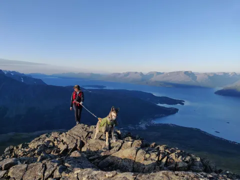 En person på toppen av et fjell, med en hund.
