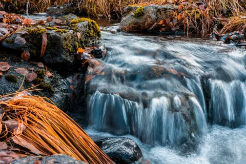 Eksklusiv foto vandring i Lyngen: Fang den nordnorske naturen med en profesjonell fotograf