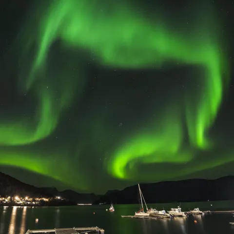 Eksklusiv foto vandring i Lyngen: Fang den nordnorske naturen med en profesjonell fotograf