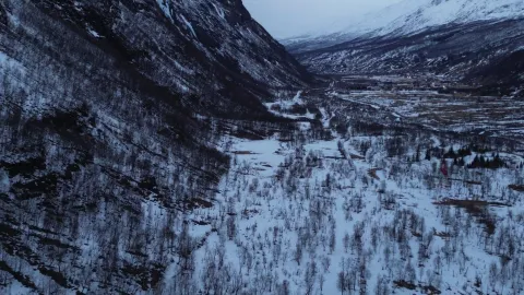 Birtavarre Aurora Adventures