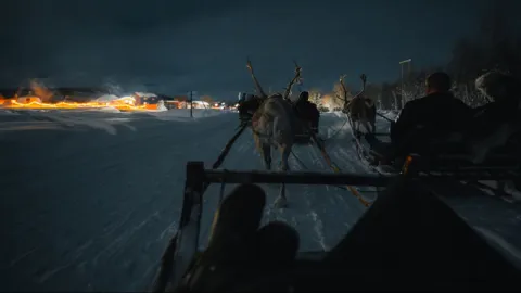 Reindeer Sledding, Reindeer Feeding and Sami Culture with a Chance of Northern Lights with Dinner
