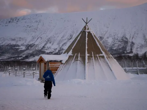 Reindeer Feeding and Sami Culture - 1pm departure - Tromsø Lapland