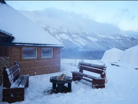 Reindeer Feeding and Sami Culture with Lunch