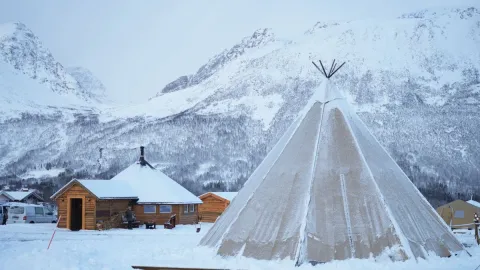 Reindeer Feeding and Sami Culture with Lunch