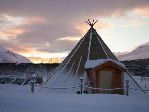 Reindeer Feeding and Sami Culture - 1pm departure - Tromsø Lapland