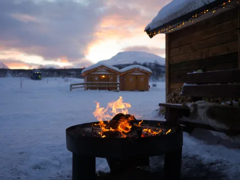 Reindeer Feeding and Sami Culture - 1pm departure - Tromsø Lapland