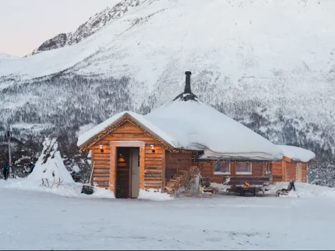 Reindeer Feeding and Sami Culture with Lunch