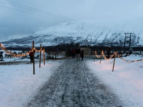 Reindeer Feeding and Sami Culture - 1pm departure - Tromsø Lapland