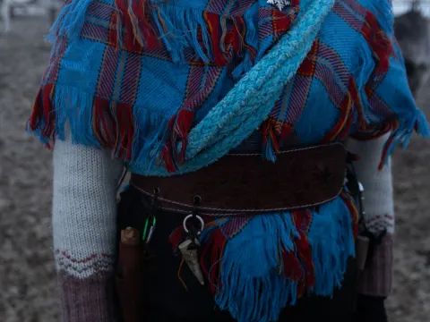 Reindeer Feeding and Sami Culture - 1pm departure - Tromsø Lapland