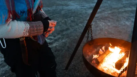 Reindeer Feeding and Sami Culture - 1pm departure - Tromsø Lapland