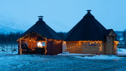 Reindeer Feeding and Sami Culture - 1pm departure - Tromsø Lapland