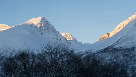 Reindeer Feeding and Sami Culture with Lunch